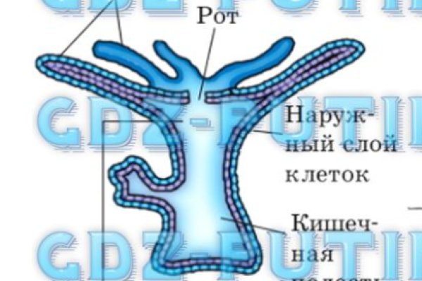 Кракен даркнет купить