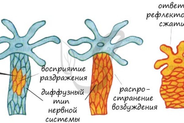 Kra15.cc