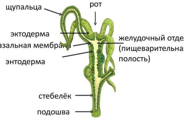 Не заходит на кракен