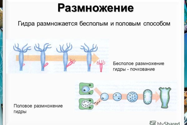 Актуальные ссылки кракен 2025