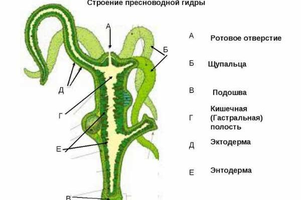 Магазин веществ кракен