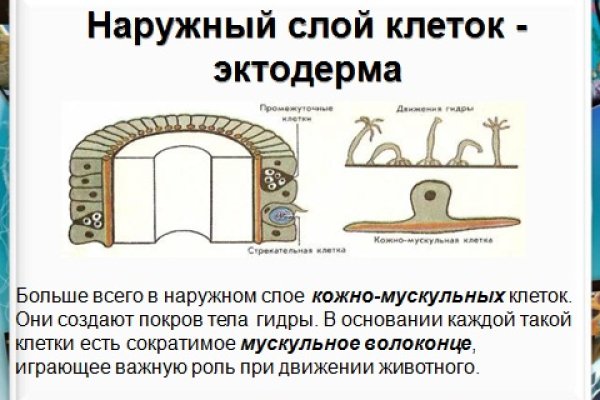 Kraken даркнет рынок ссылка