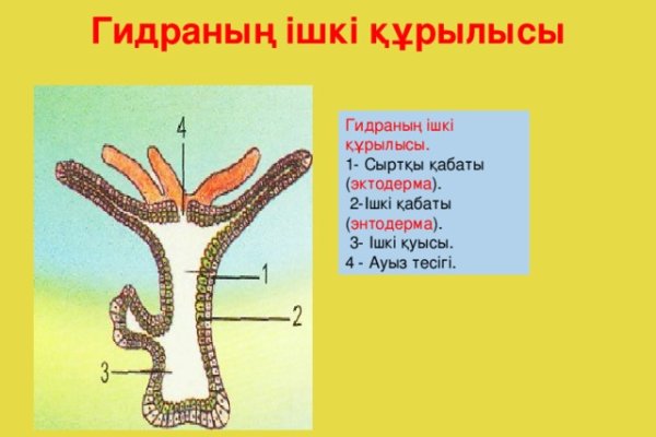 Кракен 15at